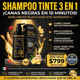 SHAMPOO TINTE 3 EN 1 UNISEX CUBRE CANAS