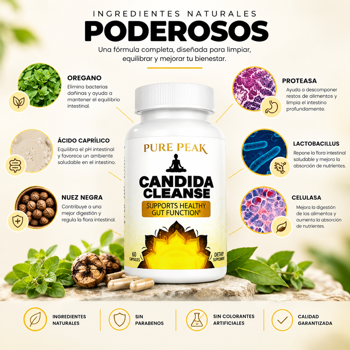 Candida Fórmula Estadounidense Adiós Hinchazón y Antojos por Dulce en 30 Días